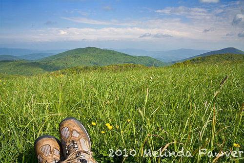Landscape with Hiker