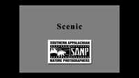 2020 SANP Projected Images-010