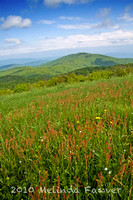 ------ Max Patch ------ May 22, 2010